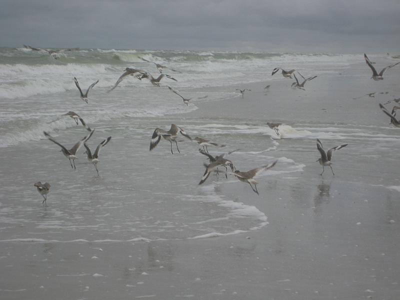 Picture 061
